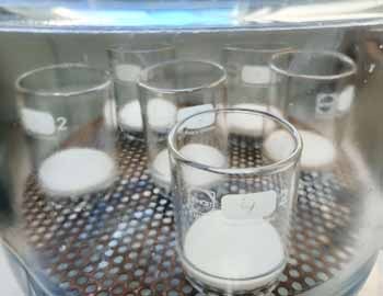 frontend/data.nutricion